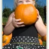 Holmberg Orchards & Winery photo