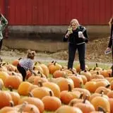 Holmberg Orchards & Winery photo