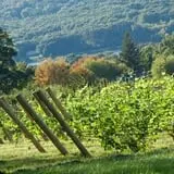 Holmberg Orchards & Winery photo