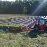 Holmberg Orchards & Winery photo