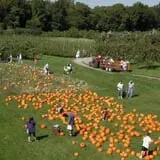 Holmberg Orchards & Winery photo
