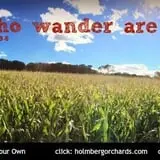 Holmberg Orchards & Winery photo