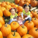 Thompson Farm & Nursery photo