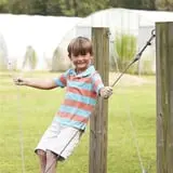 Thompson Farm & Nursery photo