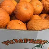 Thompson Farm & Nursery photo