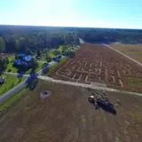 Thompson Farm & Nursery photo
