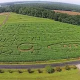 Thompson Farm & Nursery photo