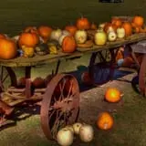 Thompson Farm & Nursery photo