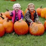 Thompson Farm & Nursery photo