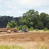 Thompson Farm & Nursery photo