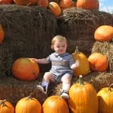 Thompson Farm & Nursery photo