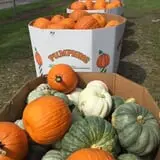 Thompson Farm & Nursery photo