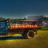 Thompson Farm & Nursery photo
