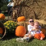 Thompson Farm & Nursery photo