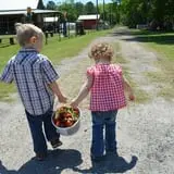 Thompson Farm & Nursery photo