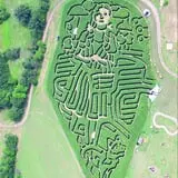 Foster Family Farm Corn Maze photo