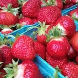Lakeside Orchards photo