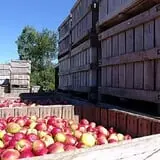 Lakeside Orchards photo
