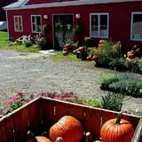 Lakeside Orchards photo