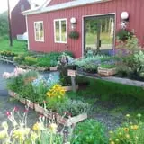 Lakeside Orchards photo
