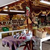 Lakeside Orchards photo