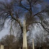 Forest Home Cemetery photo