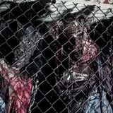 Halls of Horror photo