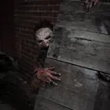 Halls of Horror photo