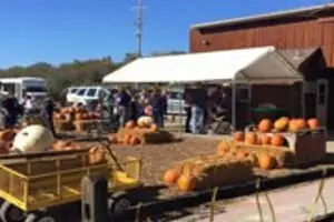 Rees Fruit Farm