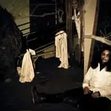 Haunted Forest of Maple Valley photo