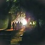 Haunted Forest of Maple Valley photo