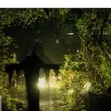 Haunted Forest of Maple Valley photo