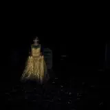 Haunted Forest of Maple Valley photo