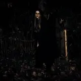 Haunted Forest of Maple Valley photo