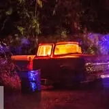 Haunted Forest of Maple Valley photo