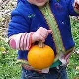 Samascott Orchards photo
