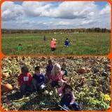 Samascott Orchards photo