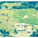Samascott Orchards photo