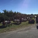 Samascott Orchards photo