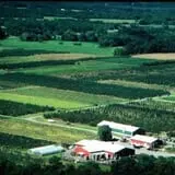 Samascott Orchards photo
