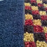 Samascott Orchards photo