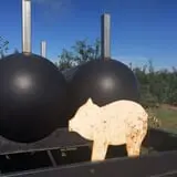 Samascott Orchards photo