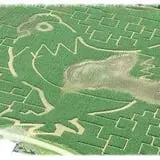 Samascott Orchards photo