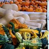 Samascott Orchards photo