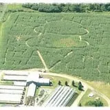 Samascott Orchards photo