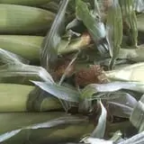 Samascott Orchards photo