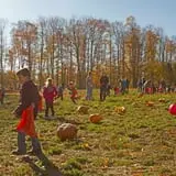 Knaebe's Mmmunchy Krunchy Apple Farm photo