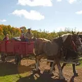 Knaebe's Mmmunchy Krunchy Apple Farm photo