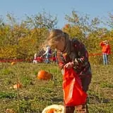 Knaebe's Mmmunchy Krunchy Apple Farm photo