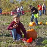 Knaebe's Mmmunchy Krunchy Apple Farm photo